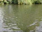 St Catharines II